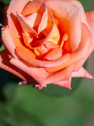 Similar image 21492565