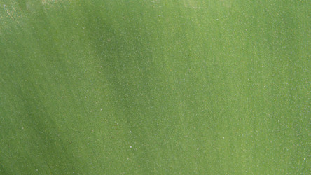 Similar image 21492566