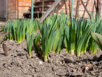 Similar image 21492567