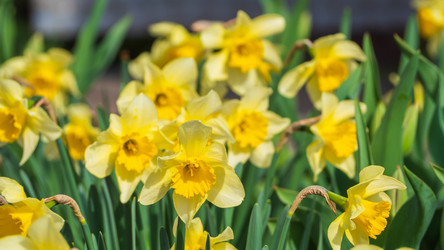 Similar image 21492570