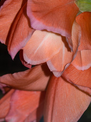 Similar image 21492572