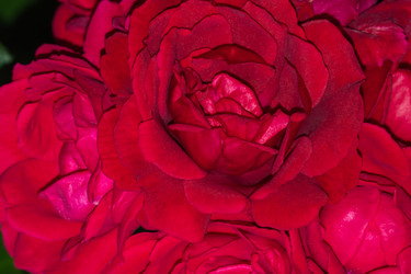 Similar image 21492579