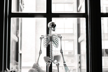 Similar image 21493116