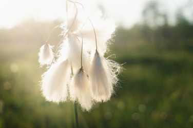 Similar image 21493310