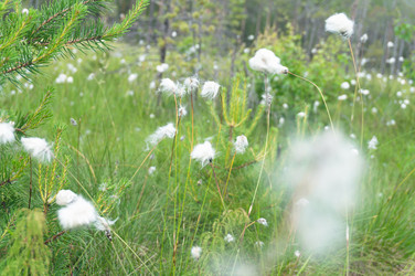 Similar image 21493313