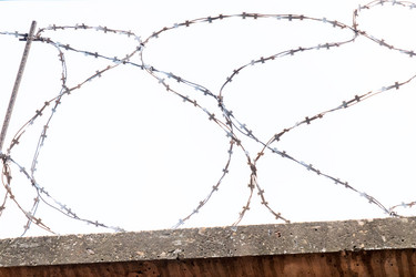 Similar image 21494870