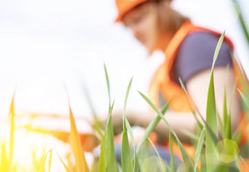 Similar image 21494904