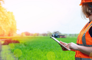 Similar image 21494912