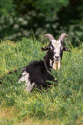 Similar image 21492660