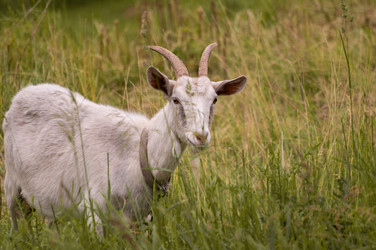 Similar image 21492662