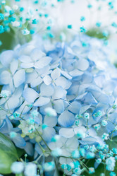 Similar image 21492601