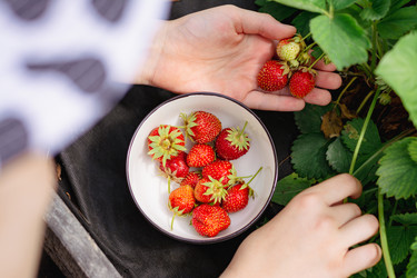 Similar image 21492629