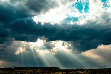 Similar image 21495199