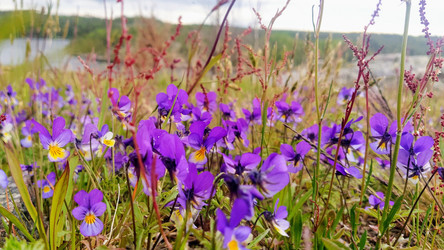 Similar image 21493949