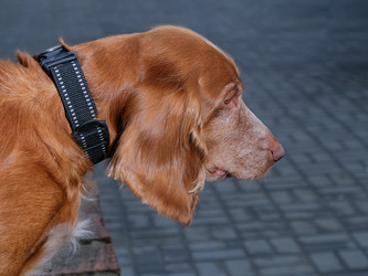 Similar image 21493957