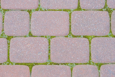 Similar image 21493958