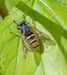 Similar image 21492688