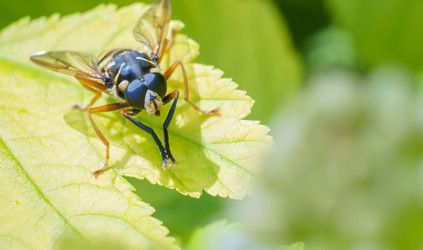 Similar image 21492689