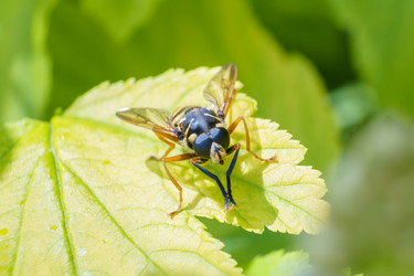 Similar image 21492690