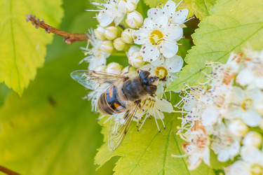 Similar image 21492691