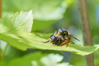 Similar image 21492692