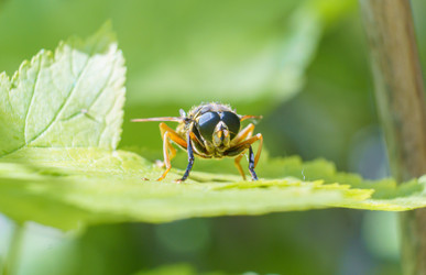 Similar image 21492693