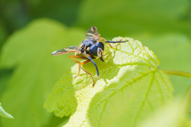 Similar image 21492695