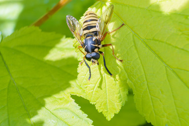 Similar image 21492696