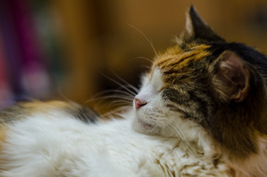 Similar image 21493338