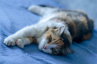 Similar image 21493340