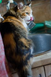 Similar image 21493341