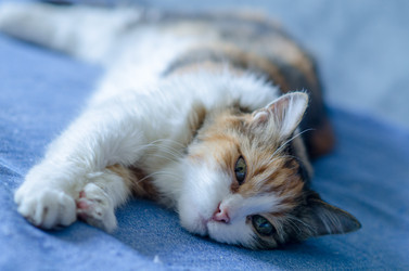 Similar image 21493342