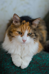 Similar image 21493343