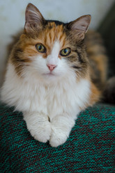 Similar image 21493344