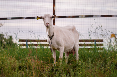 Similar image 21493347