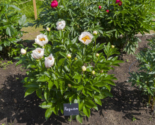 Similar image 21493362