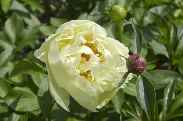 Similar image 21493363