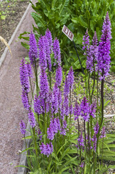 Similar image 21493365