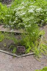 Similar image 21493366