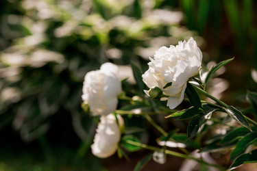 Similar image 21493367