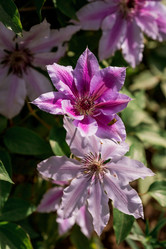 Similar image 21493368