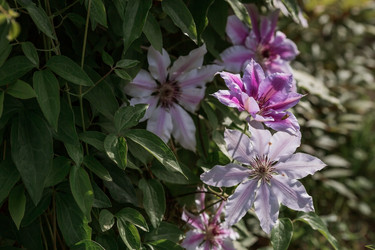 Similar image 21493369