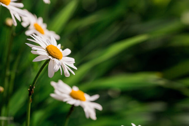 Similar image 21493370