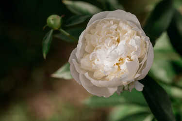 Similar image 21493371