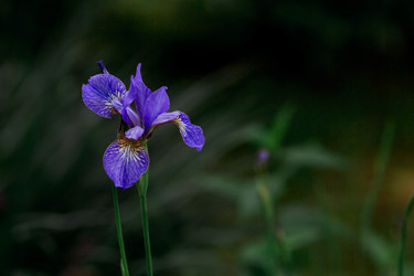 Similar image 21493372