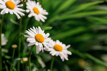 Similar image 21493373