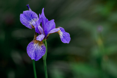 Similar image 21493374