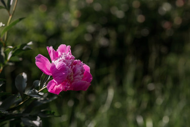 Similar image 21493376