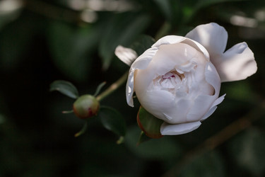 Similar image 21493377