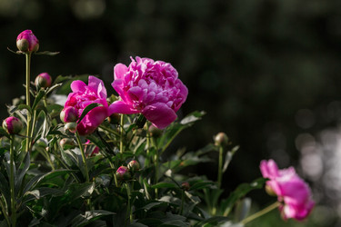 Similar image 21493378